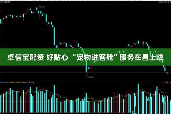 卓信宝配资 好贴心 “宠物进客舱”服务在昌上线