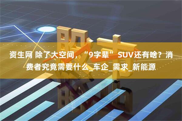 资生网 除了大空间，“9字辈” SUV还有啥？消费者究竟需要什么_车企_需求_新能源
